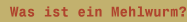 Was ist ein Mehlwurm?