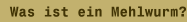 Was ist ein Mehlwurm?